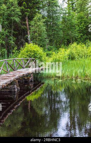 Hölzerne Fußgängerbrücke an einem See in einem Wald Stockfoto