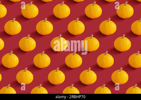 Kürbismuster, gelbe Kürbisse auf rotem Hintergrund, Vorderansicht. Herbst, Herbst, halloween-Konzept. Trendschatten. Stockfoto