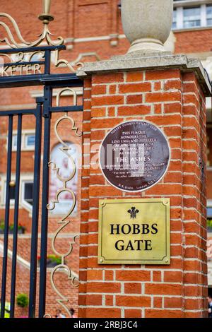 Surrey Cricket Club, Kia Oval, Kennington, Borough of Lambeth, London, England, Großbritannien Stockfoto