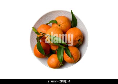 Frisch geschnittene Clementinen und ganze Mandarinen auf runden Platten, isoliert auf weißem Hintergrund. Zubereitung von Speisen und Getränken. Thema gesunde Ernährung Stockfoto