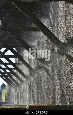 Saline Gottesgabe im Erholungsgebiet Bentlage, in der Nähe des Rheins , Münsterland , Nordrhein-Westfalen , Deutschland , Europa Stockfoto