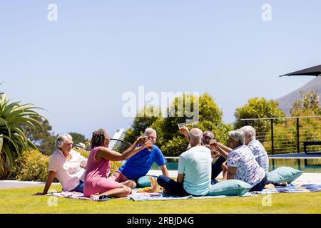 Glückliche, abwechslungsreiche Senioren, die auf einer Decke sitzen, ein Picknick machen und im Garten Toast machen. Seniorenleben, Freundschaft und Entspannung, Ruhestand, Uni Stockfoto