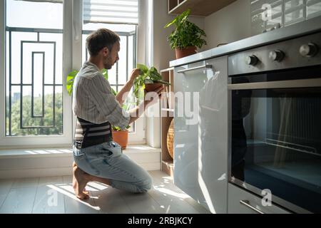 Junger Mann mit Rückenstützgurt, der sich zu Hause um Zimmerpflanzen kümmert Stockfoto