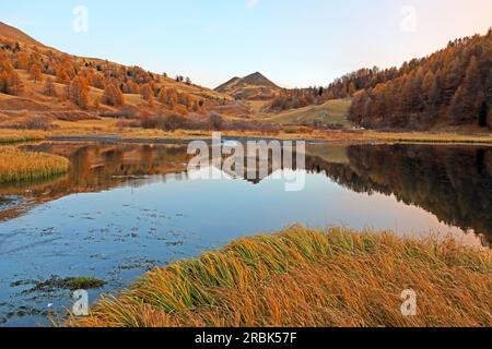 COL de VARs, Alpes-de-Haute-Provence, Provence-Alpes-Cote d'Azur, Frankreich Stockfoto