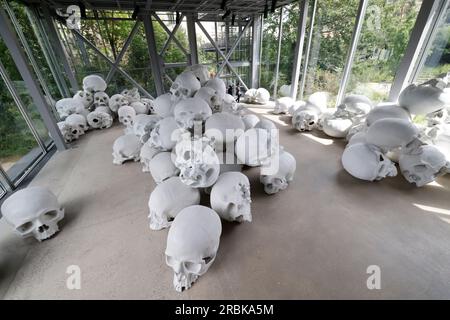 RON MUECK IN DER FONDATION CARTIER PARIS Stockfoto
