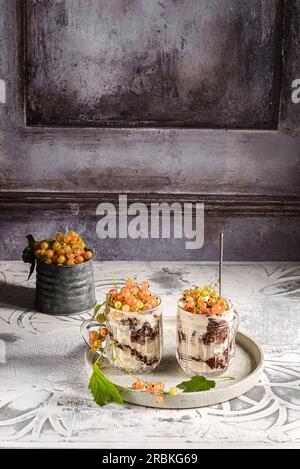 Joghurt-Dessert mit Johannisbeeren in einem Glas. Hochwertiges Foto Stockfoto