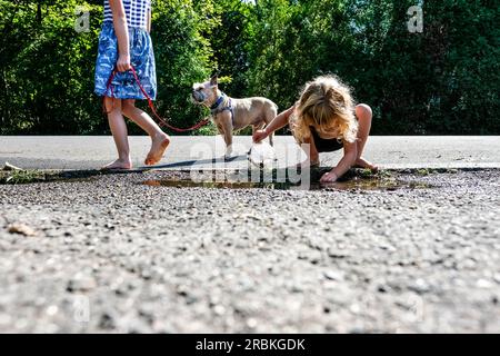 Zwei Mädchen, die draußen auf der Straße Pfütze spielen und ein Hund Stockfoto