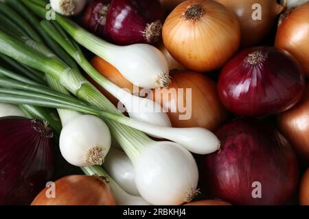 Verschiedene Zwiebelsorten als Hintergrund, Draufsicht Stockfoto