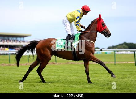 Poptronic, geritten von Jockey Sam James, postet vor den Lancashire Oaks bet365 während des Old Newton Cup bet365 Day des Old Newton Cup Festivals 2023 auf der Rennbahn Haydock Park, Merseyside. Bilddatum: Samstag, 8. Juli 2023. Stockfoto