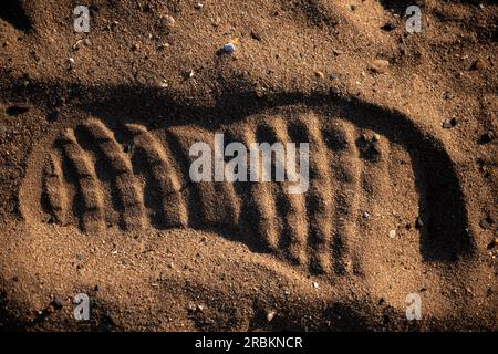 Schuhspuren im Sand Stockfoto