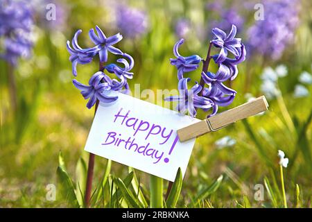 Memo-Blatt bei den blauen Hyazinthen mit der Aufschrift Happy Birthday Stockfoto