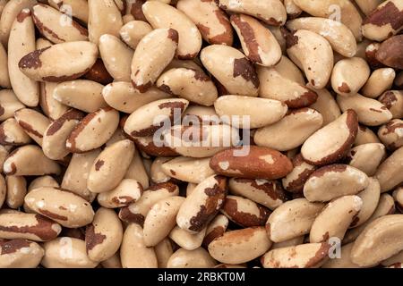 Nahaufnahme der nahrhaften brasilianischen Nüsse Konzept für gesunde Ernährung, leckere und Protein-Snacks, Bio-Lebensmittel, nährstoffreiche Lebensmittel und Natur Stockfoto