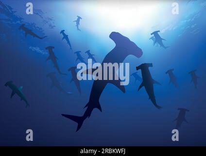 Hammerhaie im tiefen Blauen Meer Stock Vektor