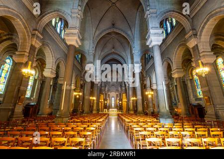 Die Kathedrale Saint-Etienne ist eine römisch-katholische Kirche, die dem Heiligen Karl Borromeo gewidmet ist. Saint-Etienne, Loire, Frankreich. Das Gebäude wurde errichtet Stockfoto