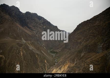 Wandern Sie durch den Colca Canyon entlang der Route von Cabanaconde zur Oase. Stockfoto