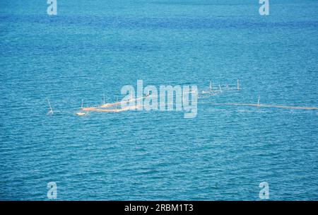 Ein Fischer auf einem Fischerboot wirft ein Netz aus, um Fische zu fangen. Stockfoto