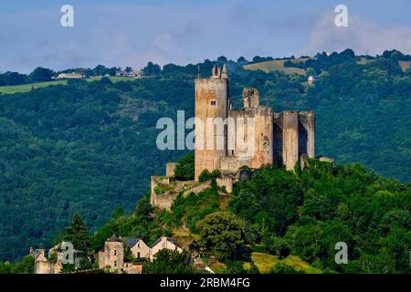 Frankreich, Aveyron (12), Najac, die schönsten Dörfer Frankreichs, das mittelalterliche Dorf und die Burg Najac Stockfoto