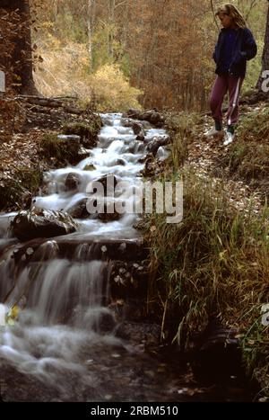 SILVER LAKE liegt am Fuße des Carson Mountain und beherbergt den ältesten „Fischerort“ der Region. Das Silver Lake Resort wurde 1916 eröffnet und beherbergt seitdem Angler und ihre Familien. Leute aus ganz Kalifornien und dem Westen besuchen seit Generationen Silver Creek. Deshalb fühlen sich die Besitzer des Resorts, die Familie Jones, nicht wie Gäste zu jeder Jahreszeit, sondern heißen ihre Familie willkommen. Stockfoto