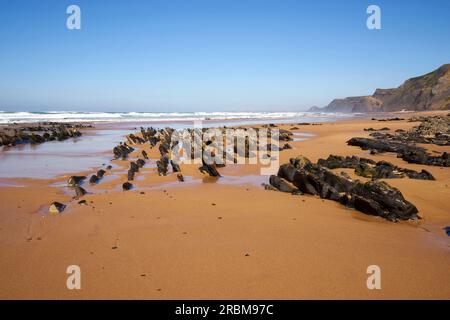 Praia da Cordoama und Praia do Castelejo am Atlantischen Ozean in der Nähe von Vila do Bispo im Parque Natural do Sudoeste Alentejano e Costa Vicentina, Alga Stockfoto