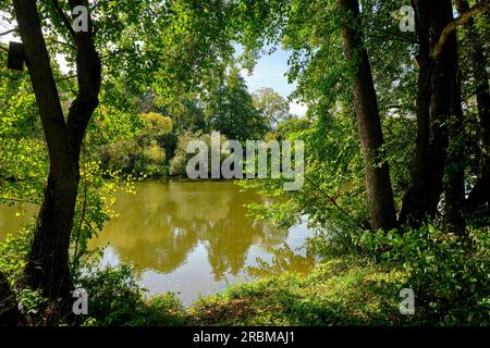 Landschafts- und Steinteiche in der Nähe von Dörfleins, Teil des LIFE-Natur-Projekts Oberes Maintal, Stadt Hallstadt, Bezirk Bamberg, Oberfranken, Fr. Stockfoto