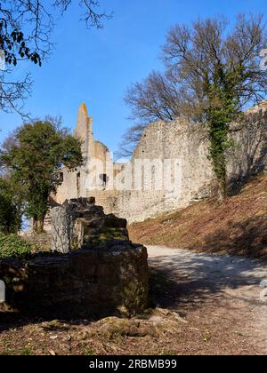 Burgruinen Homburg und Ruine Naturschutzgebiet Homburg, Niederfrankreich, Franken, Bayern, Deutschland Stockfoto