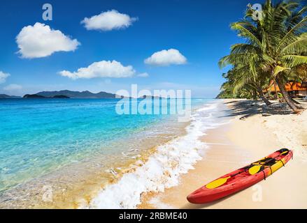Paradiesischer tropischer Strand mit Palmen und klarem Meer Stockfoto