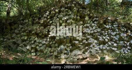 Basaltsäulen im Naturschutzgebiet Gangolfsberg in der Kernzone des Biosphärenreservats Rhön, Bayerischer Rhön, Bezirk Rhön-Grabfeld, Niederfranzon Stockfoto