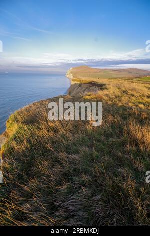 Die Kreidefelsen von Cap Blanc Nez bei Escalles in Frankreich. Stockfoto