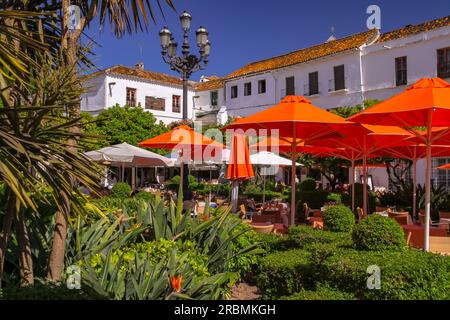 Ein Café auf dem idyllischen Marktplatz mit vielen Bäumen und Sonnenschirmen im eleganten Marbella in Andalusien, Spanien Stockfoto