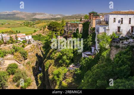 Blick auf die Ronda-Schlucht von der bekannten Brücke Puente Nuevo mit Häusern und dem Park Jardines De Cuenca in Andalusien, Spanien Stockfoto