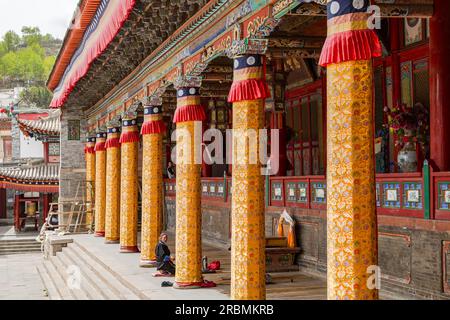 Dekorierte Säulen eines Tempels im Kumbum Champa Ling Tibetanerkloster, Xining, China Stockfoto