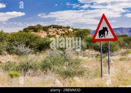 Ein rotes Dreiecksschild Elefanten kreuzen sich neben einer Schotterstraße in der Savanne in den Erongo-Bergen von Namibia, Afrika Stockfoto