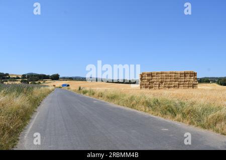 Strohballen am Straßenrand Stockfoto