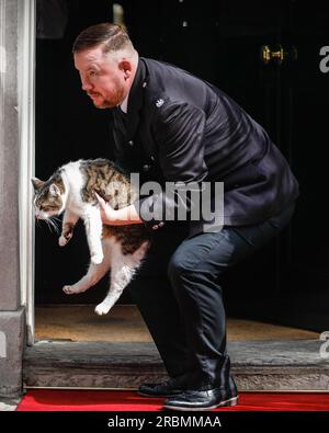 London, Großbritannien. 10. Juli 2023. Larry, die Katze, wird vor der Ankunft des Präsidenten in die Downing Street 10 gebracht. Joe Biden (Joseph Robinette Biden Jr.), Präsident der Vereinigten Staaten von Amerika, wird von Rishi Sunak, Premierminister des Vereinigten Königreichs, in der Downing Street 10 begrüßt, beide erscheinen nach kurzen Treffen wieder, und Herr Biden verlässt die Downing Street in der Autokolonne. Biden besucht Großbritannien, um den Premierminister und später König Charles zu treffen, bevor er auf dem NATO-Gipfel in Litauen reist. Kredit: Imageplotter/Alamy Live News Stockfoto