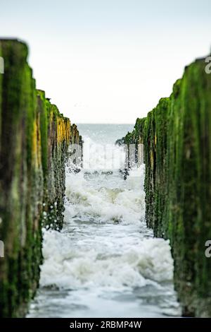 Eine Reihe von Wellenbrechern in der Nordsee in Knokke, Belgien. Stockfoto