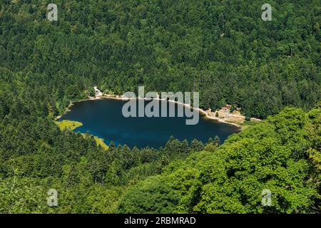 Bergsee im Sommer, Lac de Blanchemer, Hohneck, La Bresse, Vogesen, Region Grand Est, Elsass-Lothringen, Vogesen und Haut-Rhin, Frankreich Stockfoto