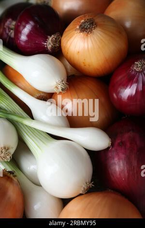 Verschiedene Zwiebelsorten als Hintergrund, Draufsicht Stockfoto