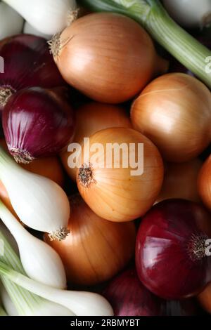 Verschiedene Zwiebelsorten als Hintergrund, Draufsicht Stockfoto