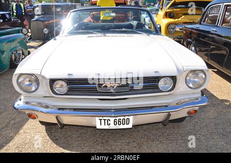 Klassische Ford Mustang Stockfoto