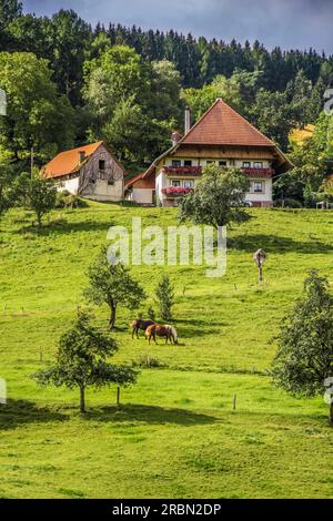Großer alter Schwarzwaldbetrieb in der Dietental nahe Mühlenbach, Schwarzwald, Baden-Württemberg, Deutschland Stockfoto