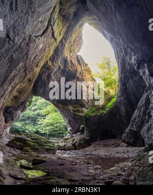 Paradies-Überwuchs am Fluss Zamna in der Nähe des Dorfes Plava im Osten Serbiens Stockfoto