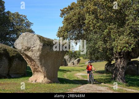 Nette Seniorin, die mit ihrem elektrischen Mountainbike in einem Steineichenwald des spanischen Departements Extremadura herumläuft Stockfoto