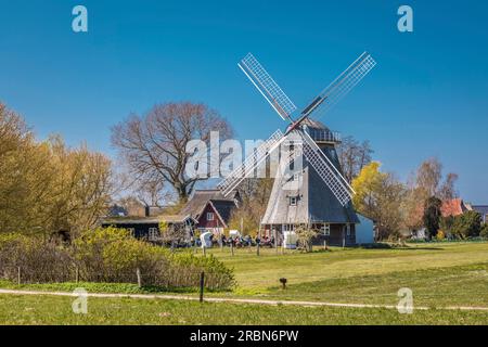 Mühle Ahrenshoop, Mecklenburg-Vorpommern, Norddeutschland, Deutschland Stockfoto