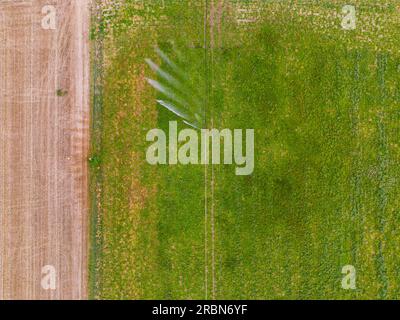 Bewässerungssystem mit Sprinklern in der Landwirtschaft während Dürre im heißen Sommer aus der Luft, Deutschland Stockfoto