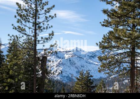 Blick auf die Berge des Squaw Valley aus der Ferne, an einem meist sonnigen Tag am blauen Himmel, zwischen den Kiefern in der sierra nevada in Kalifornien im Winter Stockfoto