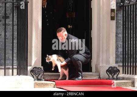 London, Vereinigtes Königreich, 10. Juli 2023. Larry, der Bewohner und viel fotografierte Kater in der Downing Street Nr. 10, genießt den roten Teppich, der für die bevorstehende Ankunft von US-Präsident Joe Biden ausgelegt wurde, bevor er von einem Polizisten zu seiner Überraschung und den Buos der Fotografen unzeremoniell entfernt wurde! Kredit : Monica Wells/Alamy Live News Stockfoto