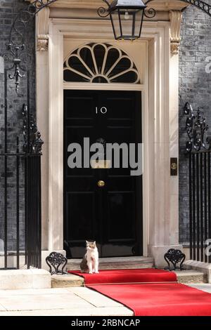 London, Vereinigtes Königreich, 10. Juli 2023. Larry, der Bewohner und viel fotografierte Kater in der Downing Street Nr. 10, genießt den roten Teppich, der für die bevorstehende Ankunft von US-Präsident Joe Biden ausgelegt wurde, bevor er von einem Polizisten zu seiner Überraschung und den Buos der Fotografen unzeremoniell entfernt wurde! Kredit : Monica Wells/Alamy Live News Stockfoto