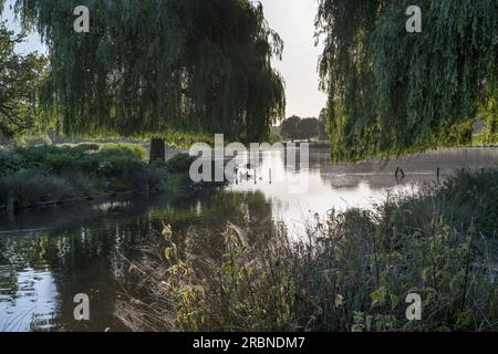 Morgendliche Reflexionen über den Bushy Park Pond in Surrey UK Stockfoto