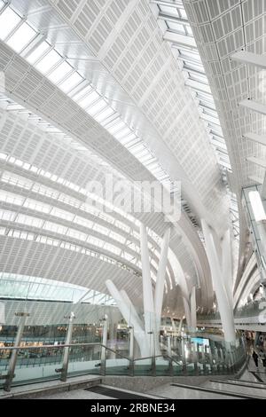 Hong Kong West Kowloon Station. Es ist die einzige Station in der Hong Kong-Abteilung und verbindet den China-Abschnitt über einen eigenen Tunnel mit dem chinesischen Festland Stockfoto