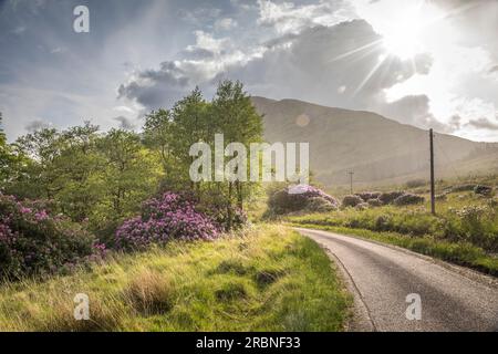 Landstraße mit Regenschauern in Glen Etive, Highlands, Schottland, Großbritannien Stockfoto